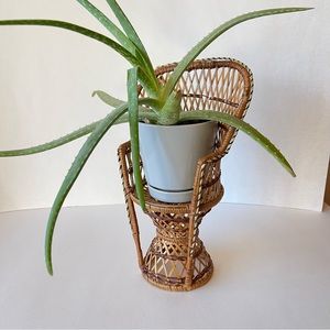 Vintage Wicker Peacock Chair Plant Stand